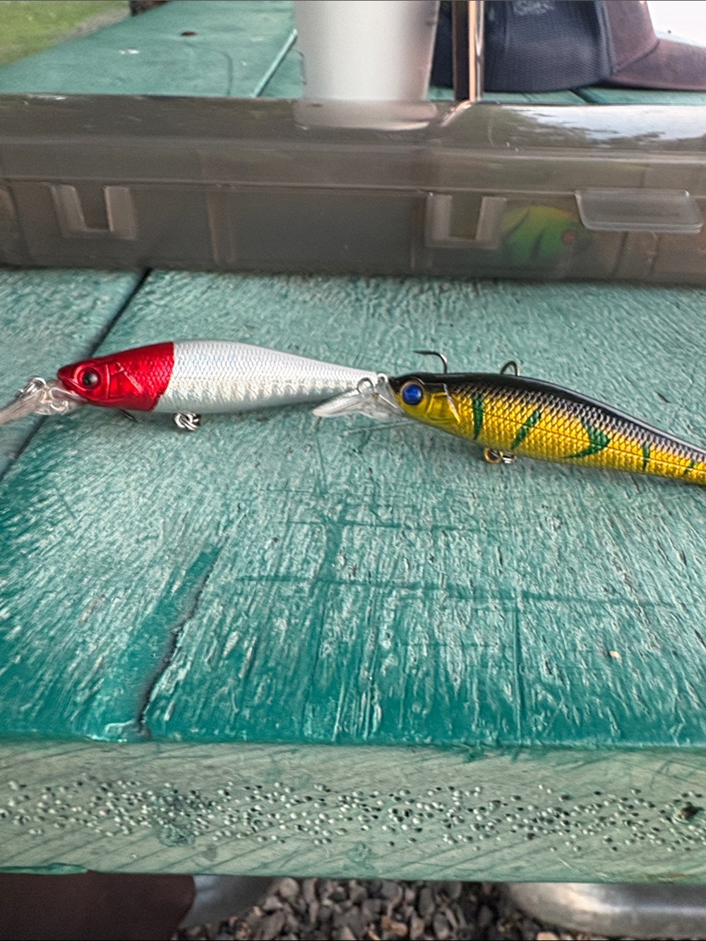 Fishing Lure Duo